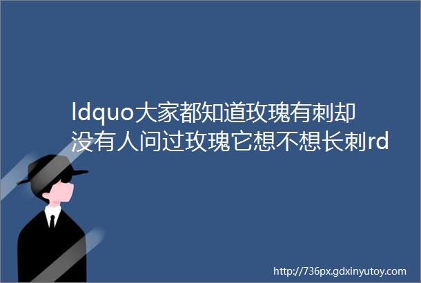 ldquo大家都知道玫瑰有刺却没有人问过玫瑰它想不想长刺rdquo