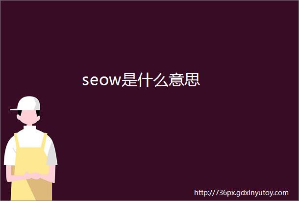 seow是什么意思