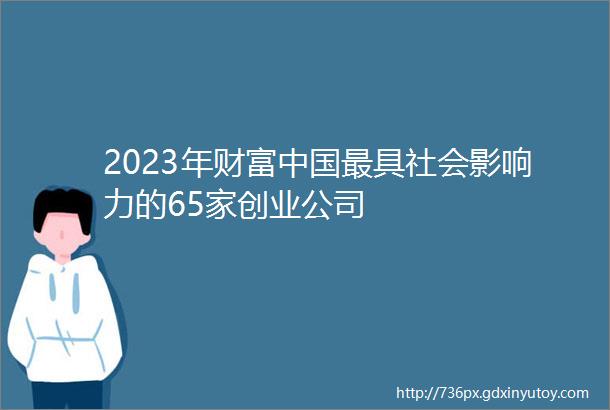 2023年财富中国最具社会影响力的65家创业公司
