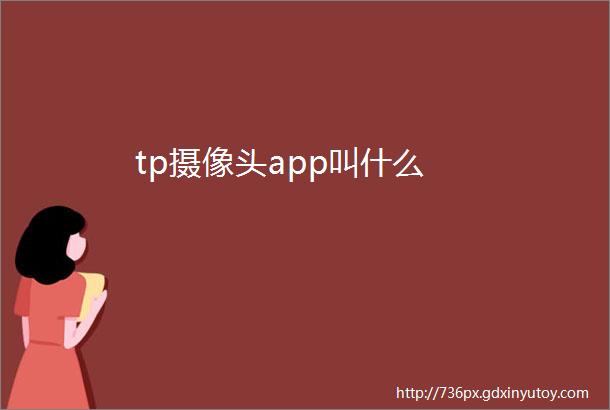 tp摄像头app叫什么