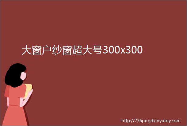 大窗户纱窗超大号300x300