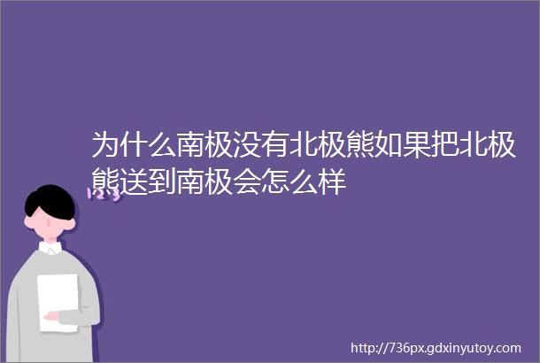 为什么南极没有北极熊如果把北极熊送到南极会怎么样